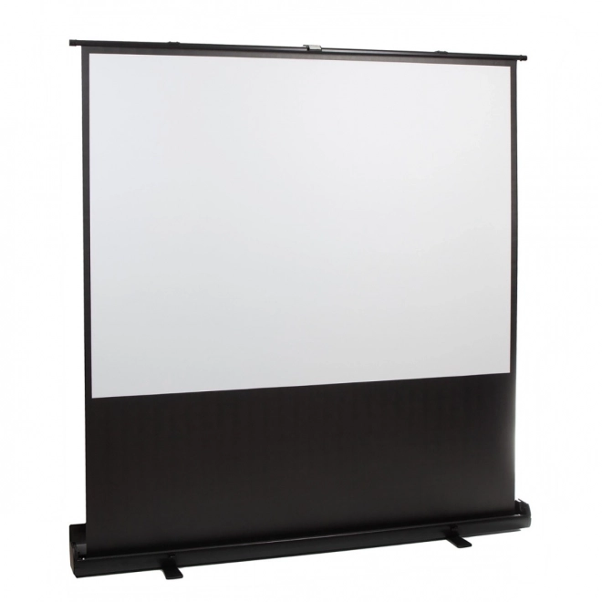 Portable projection screen 66 inches MC-210 16:9