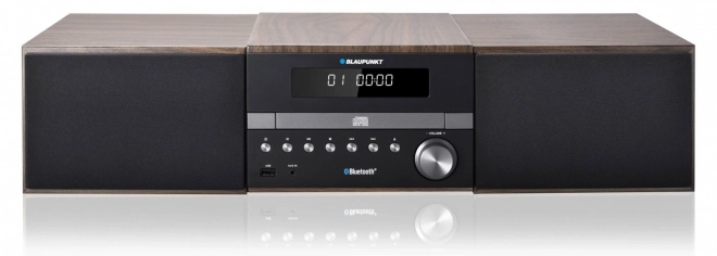 Bluetooth Micro Hi-Fi System with RDS/ID3 Tag and CD/MP3/USB/AUX
