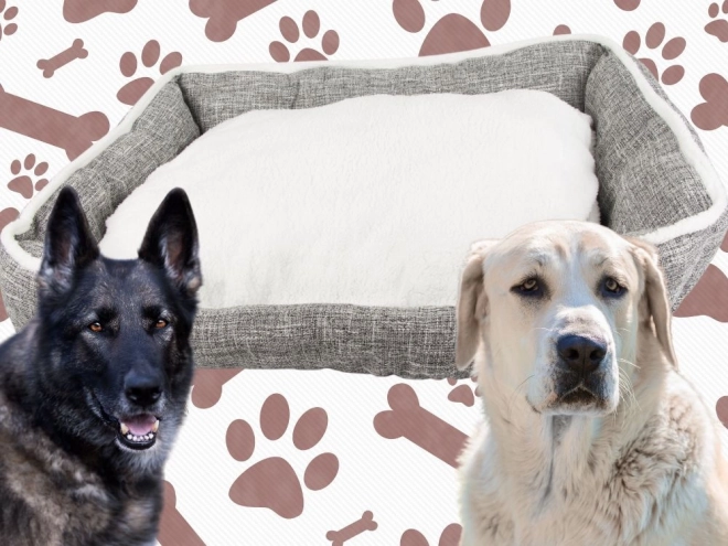 Letto morbido e confortevole per cani con cuscino XL