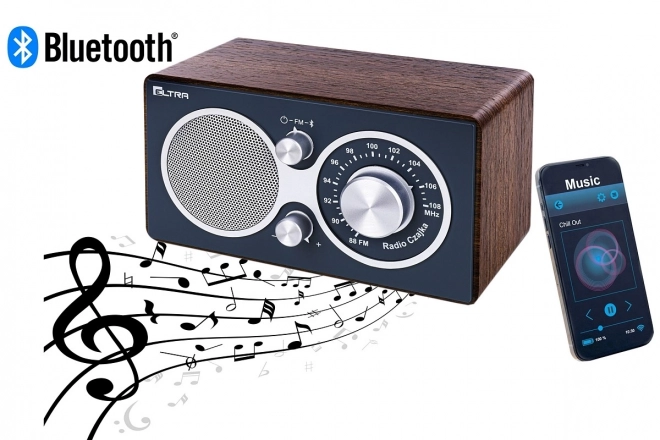 Bluetooth-Radio mit Holzkorpus