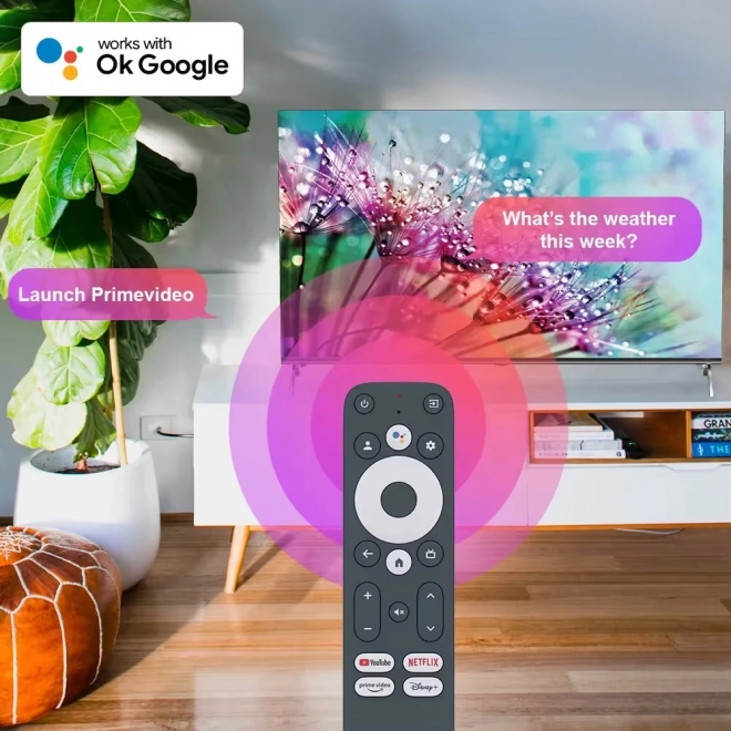 Ultra HD 4K Media Player with Google TV