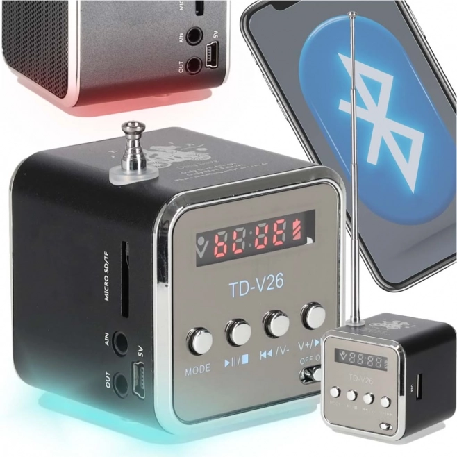 Portable battery-powered radio and Bluetooth speaker with LCD