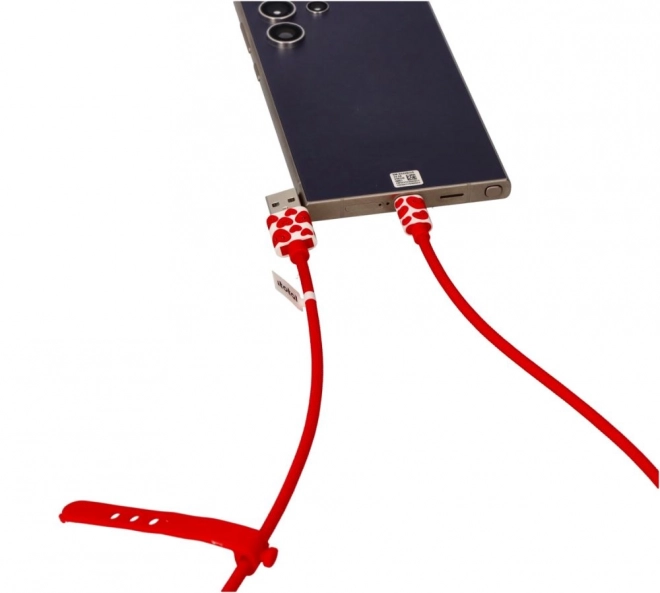 USB-C Cable with Hearts