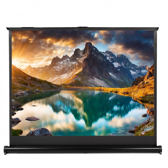 Portable Projection Screen 40 inches 16:9