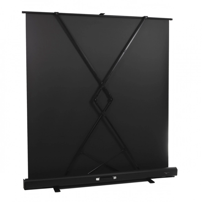Portable projection screen 66 inches MC-210 16:9