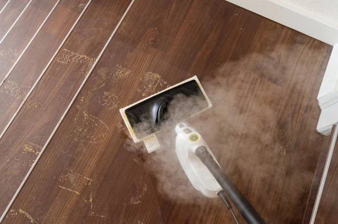 Kärcher Multi-Function Steam Cleaner