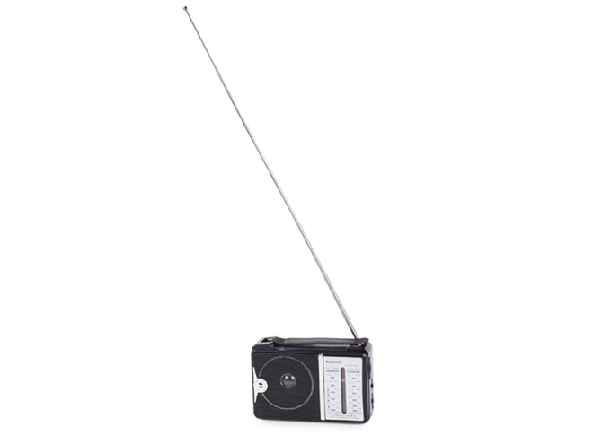 Teleskopska antena za čist signal
