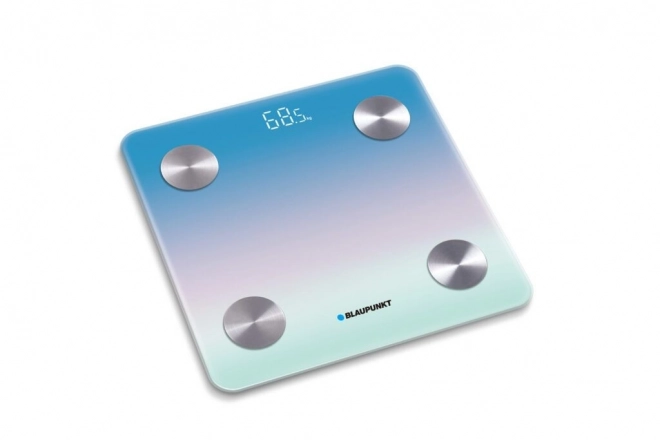 Bluetooth Personal Scale
