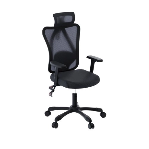 Ergonomic Office Chair Onyx
