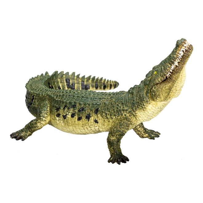 Realistic Design