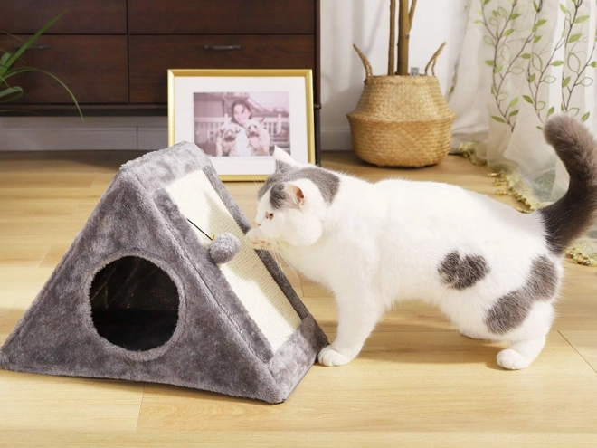 Triangular Cat Scratcher and House with Ball