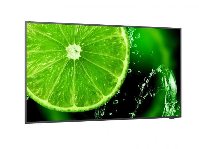 Multisync E328-2 32 Inch FHD Monitor