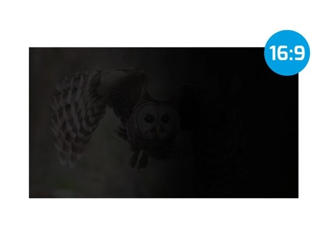 Privacy Screen Filter for Laptops and Monitors