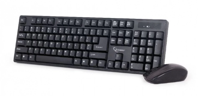 Set tastiera e mouse nero senza fili