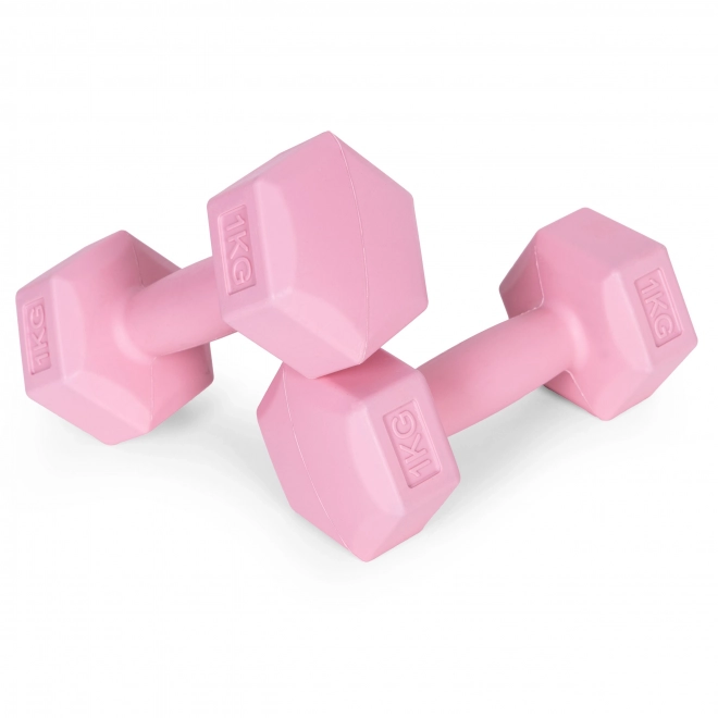 Pink Dumbbells 2x1 kg ModernHome
