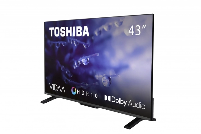43" LED TV 43LV2E63DG