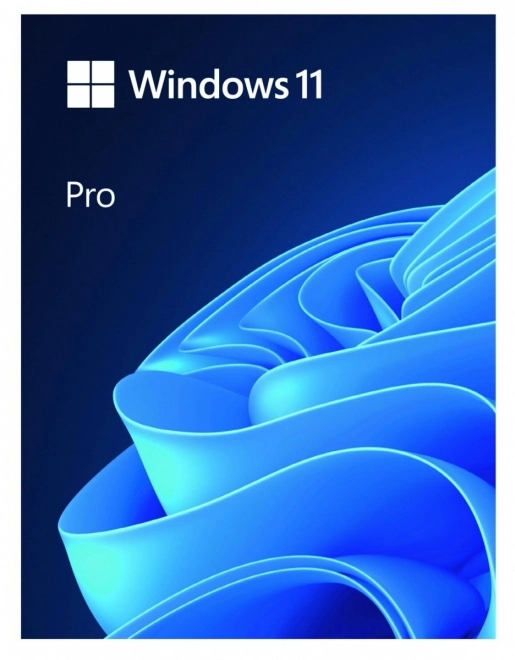 Windows 11 Pro 64 bit USB Flash Drive