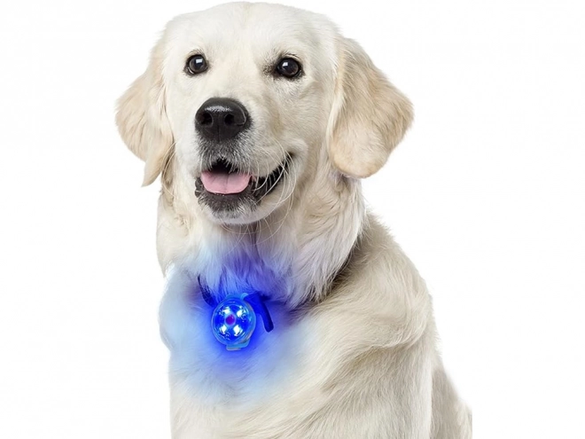 LED Light for Pet Collar