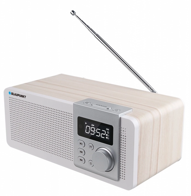 Tragbares Radio mit Bluetooth und Wecker