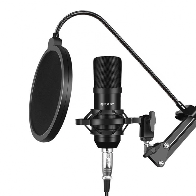Puluz Studio Broadcast Microphone