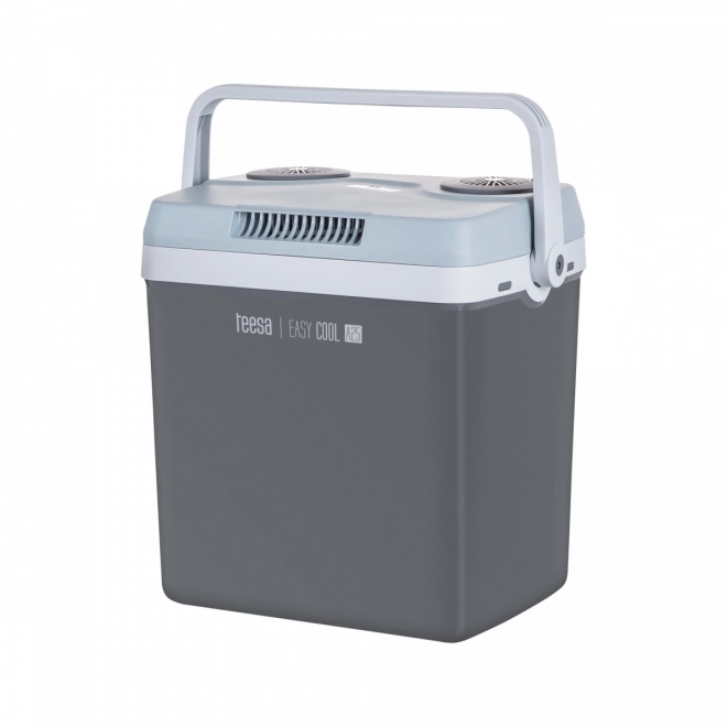 Portable Fridge with Heating Function 25L