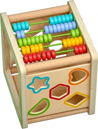 Shape sorter and colorful abacus