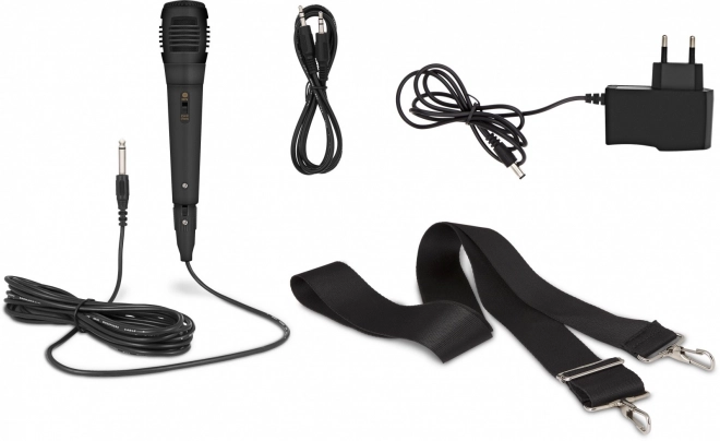 Cassa portatile per bambini Bluetooth con funzione karaoke