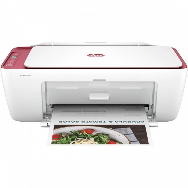 Versatile DeskJet All-In-One Printer