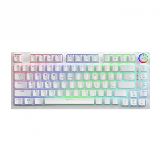 Wireless Mechanical Keyboard Phenix White with Gateron Red Switches