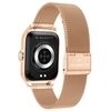 Garrett GRC Activity 2 gold matte