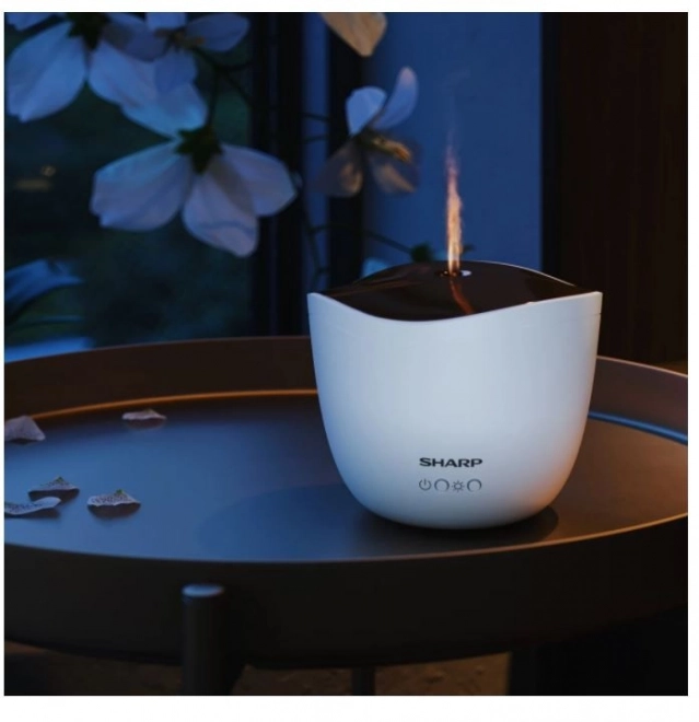 Ultrasonic Aroma Diffuser with Rose Gold Metallic Cover