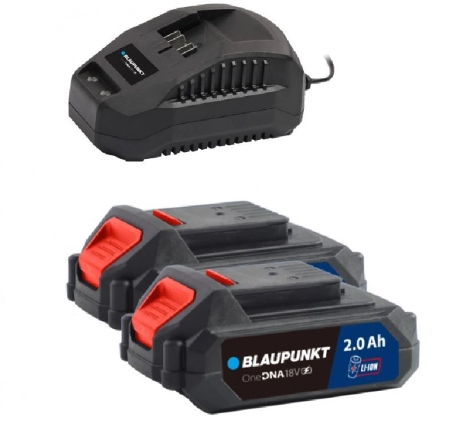 Cordless Drill 18V with 2 Batteries and Charger