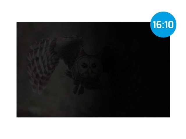 Natec Owl 16-inch 16:10 Privacy Filter