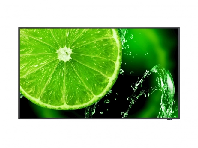 Multisync E328-2 32 Inch FHD Monitor