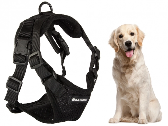 Schelle senza pressione per passeggiate cane XL