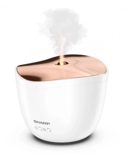 Ultrasonic Aroma Diffuser with Rose Gold Metallic Cover