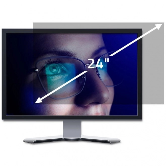 Privacy Filter for GDPR Compliance 24-inch 16:10 Black