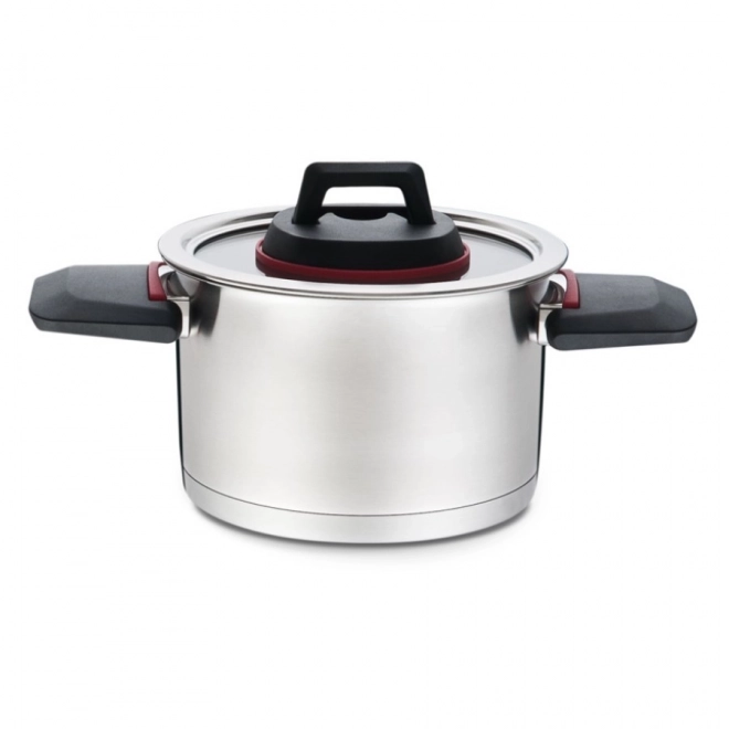 Stainless Steel Pot With Folding Handles
