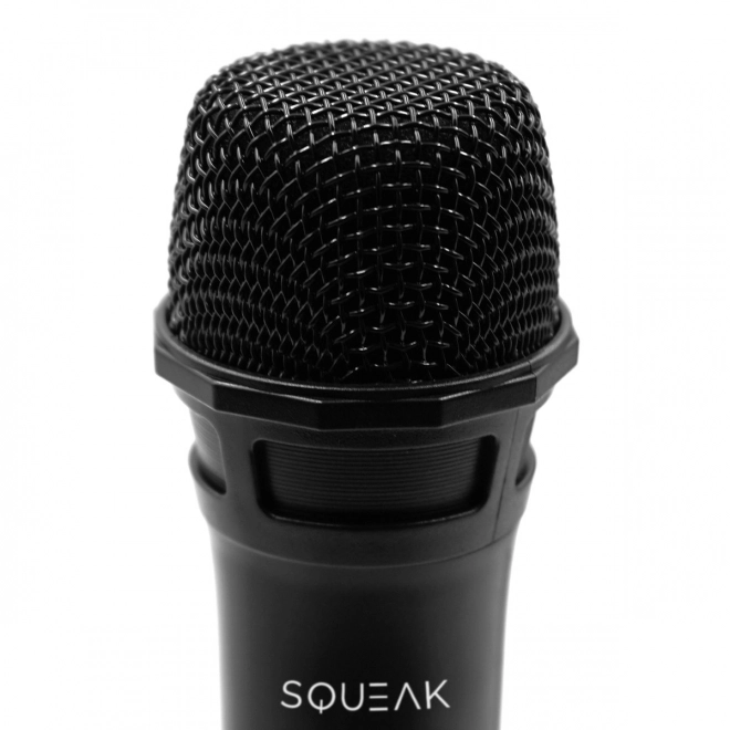 Karaoke Microphone Set VocalDuo with 30 Meter Range