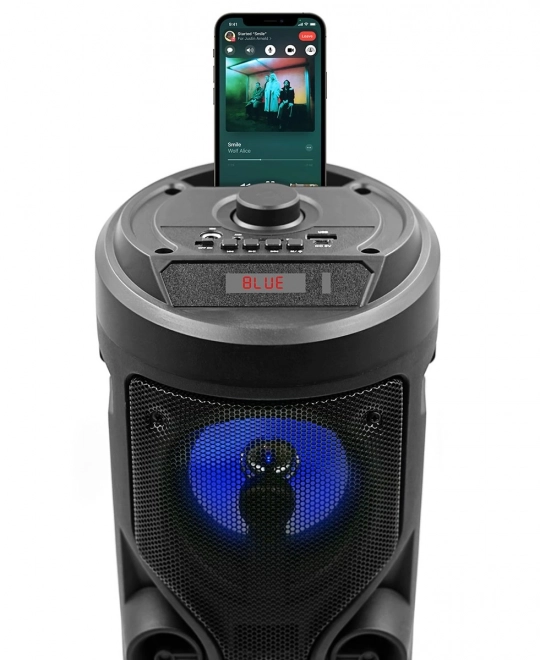 Bluetooth Wireless Connectivity