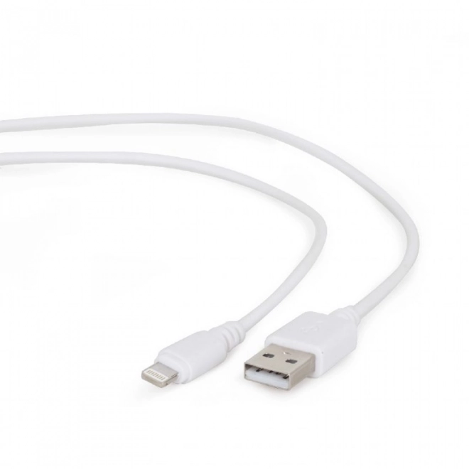 White 8-Pin USB Cable 1m
