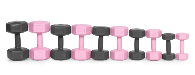Pink Dumbbell Set by ModernHome 2x4 kg
