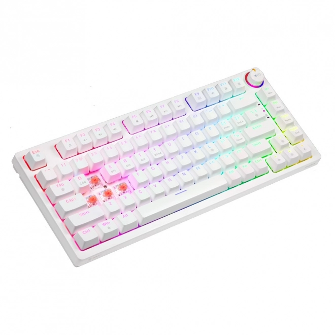 Wireless Mechanical Keyboard Phenix White with Gateron Red Switches
