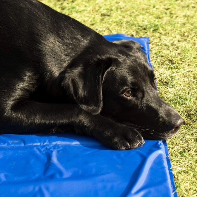 Sklopiva, lagana i pogodna za putovanja