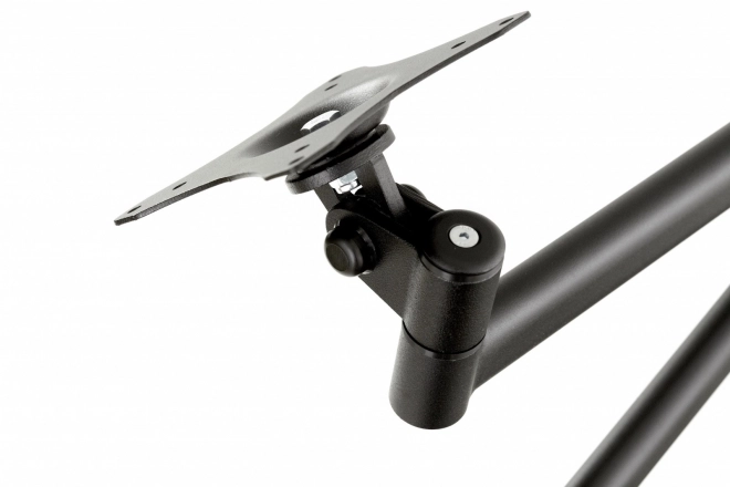 Rotating Desk Mount for Monitor