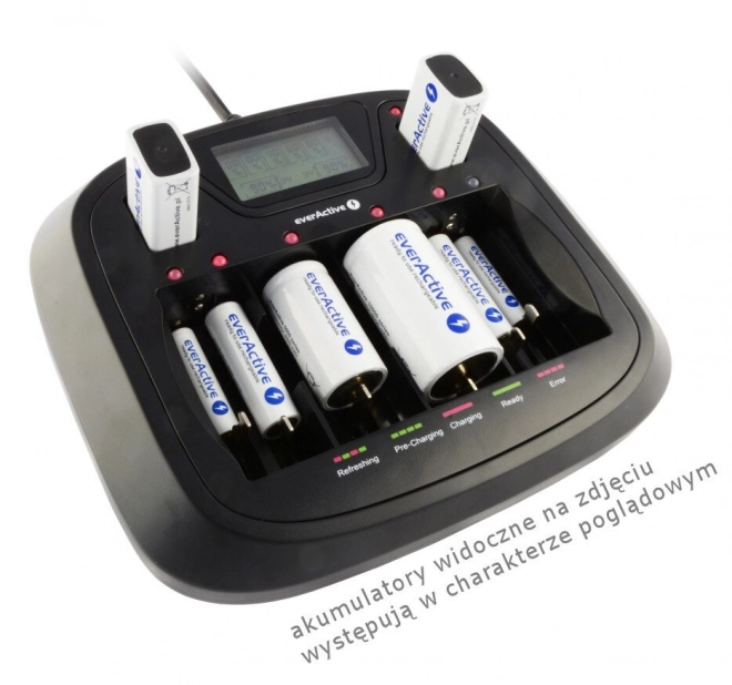 Everactive universal battery charger