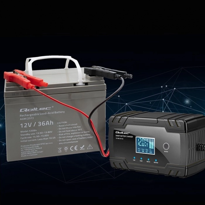 Smart Microprocessor Battery Charger with Repair Function