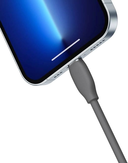 Ricarica rapida 2,4 A per dispositivi Apple