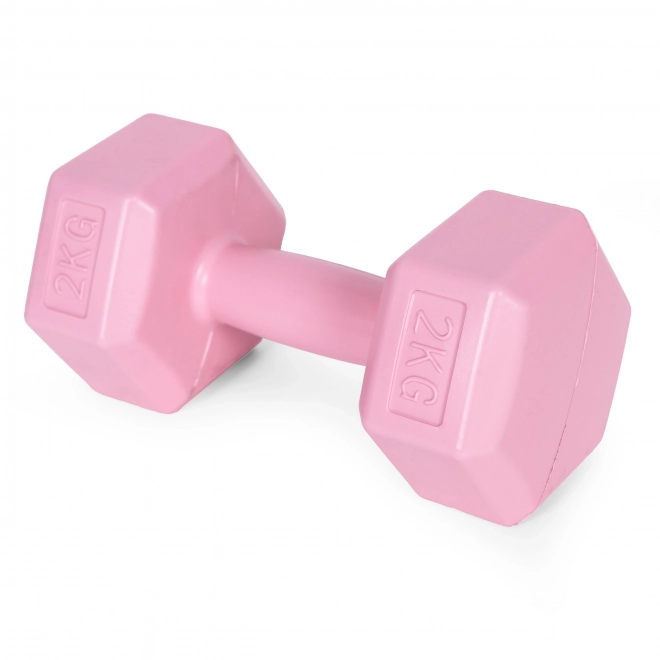 Set of Pink Dumbbells 2x2 kg ModernHome for Fitness