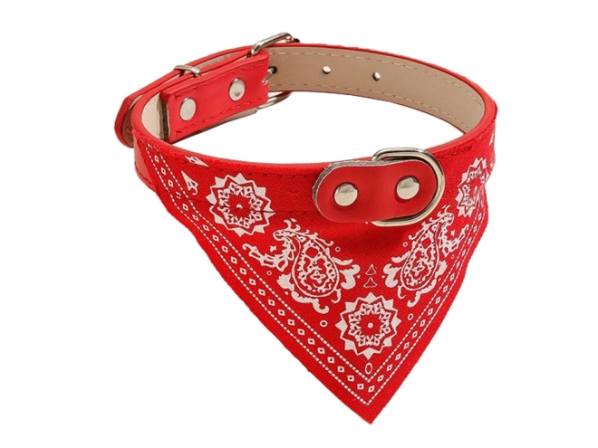 Stylový bandana vzhled
